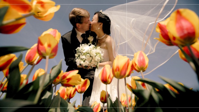 Bó hoa cưới tulip trắng tại Hà Lan