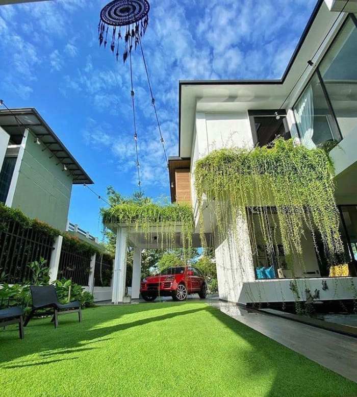 Ý nghĩa phong thuỷ của cây cúc tần Ấn Độ