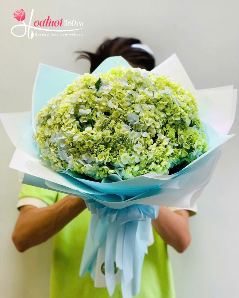 Hoa cẩm tú cầu xanh tặng người thân là nam