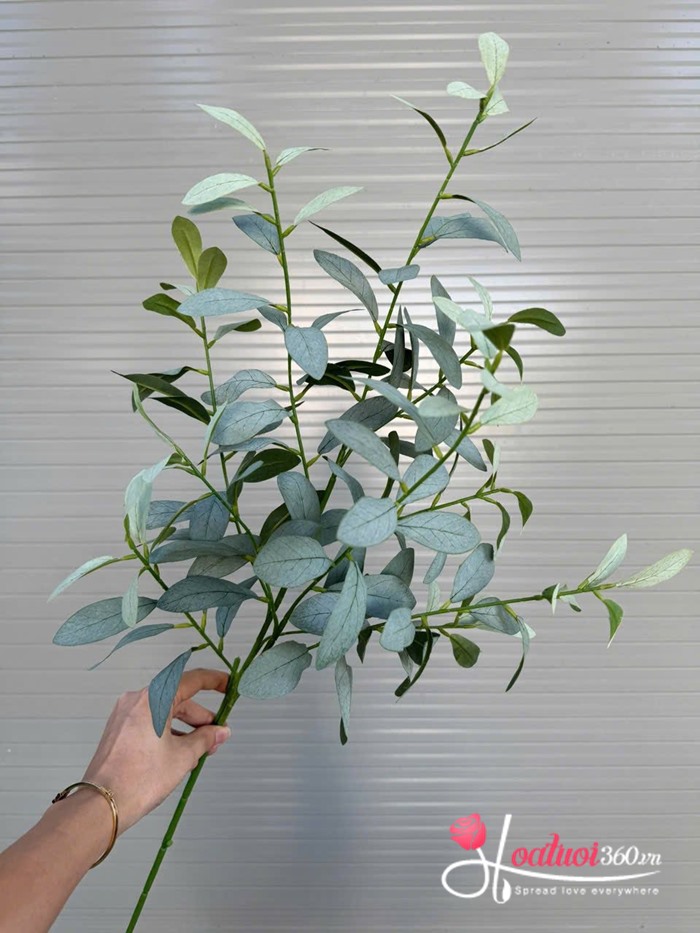 Cành Oliu xanh mướt tượng trưng cho hòa bình