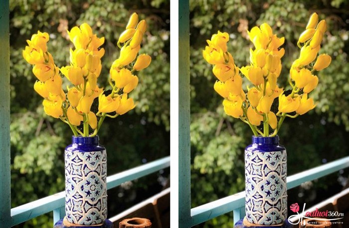 Cách cắm bình hoa địa lan vàng nhỏ để bàn