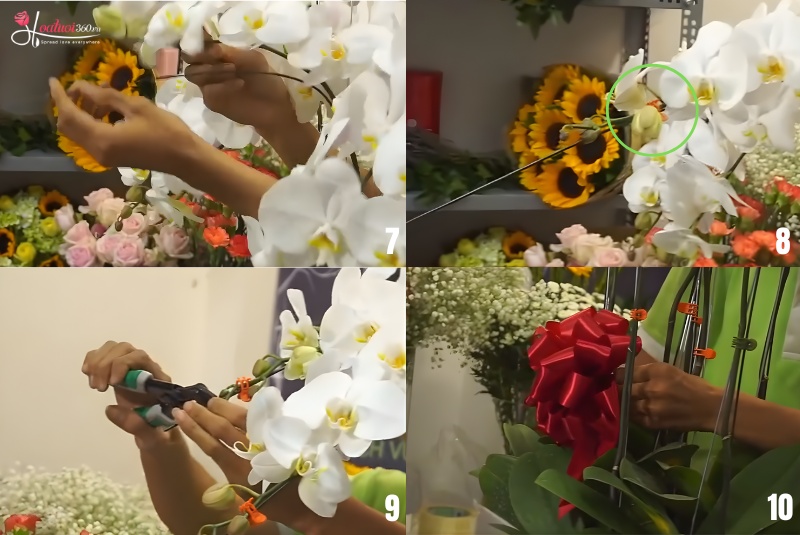 cách cắm lan hồ điệp 7 cành 