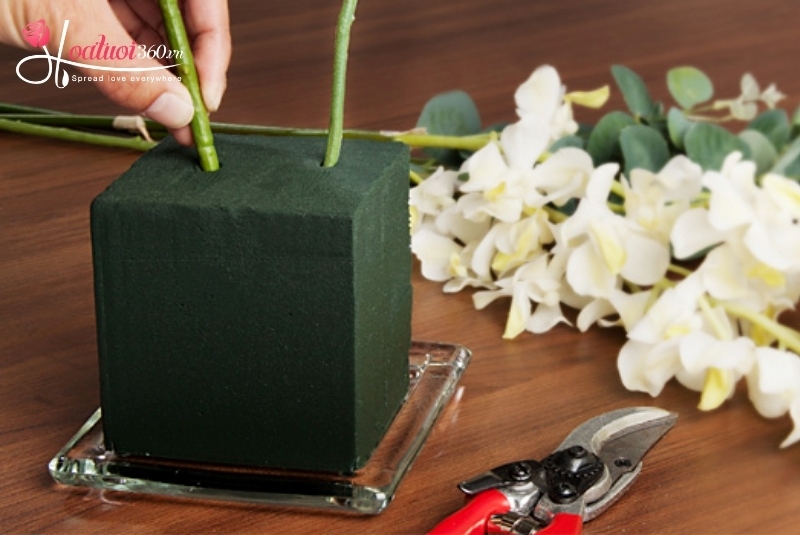 cách cắm lan hồ điệp 9 cành dạng cắt cành