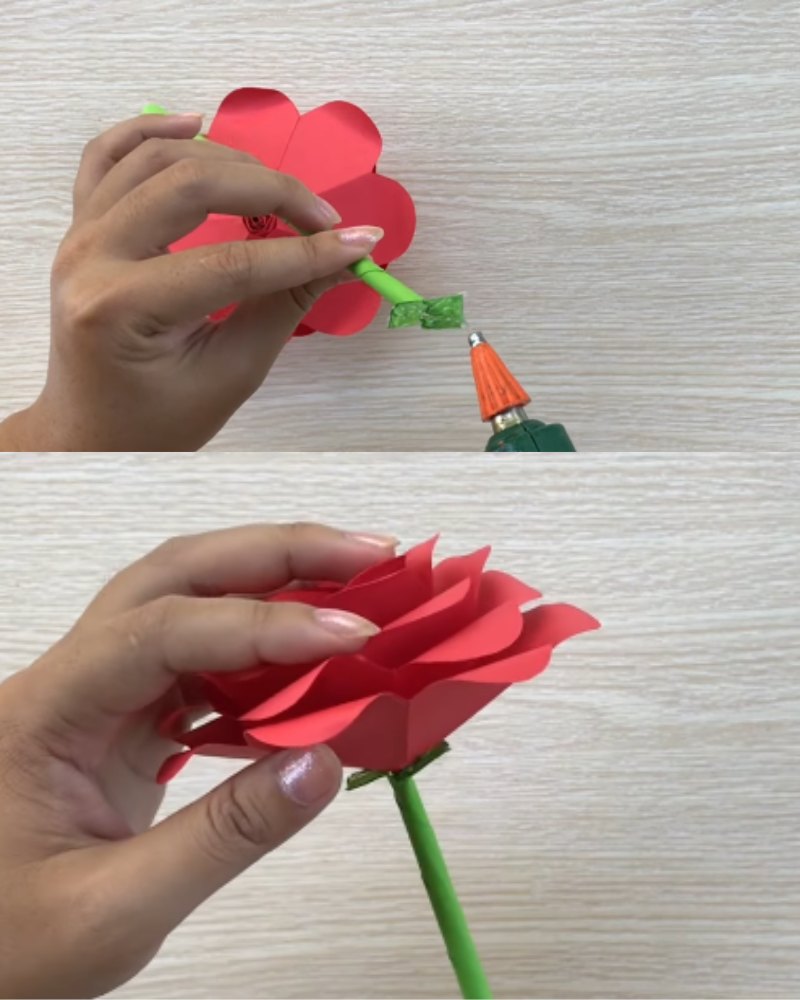 hoàn thiện cành hoa hồng bằng giấy để tặng mẹ