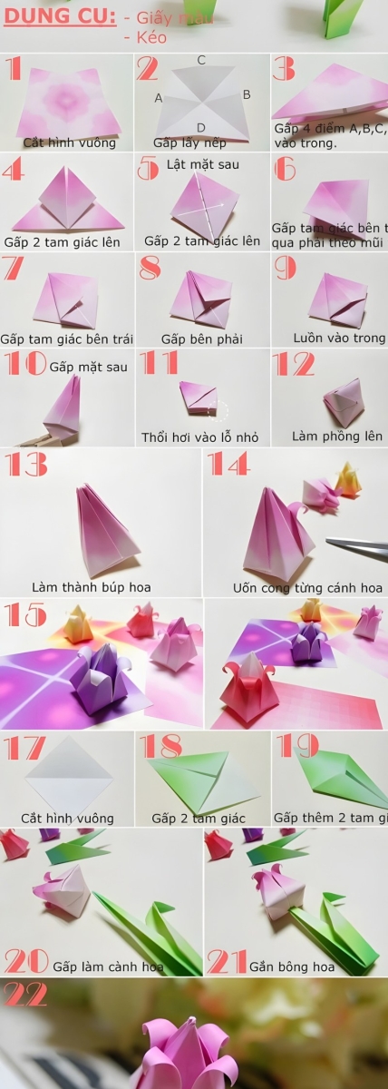 các bước làm hoa tulip bằng giấy