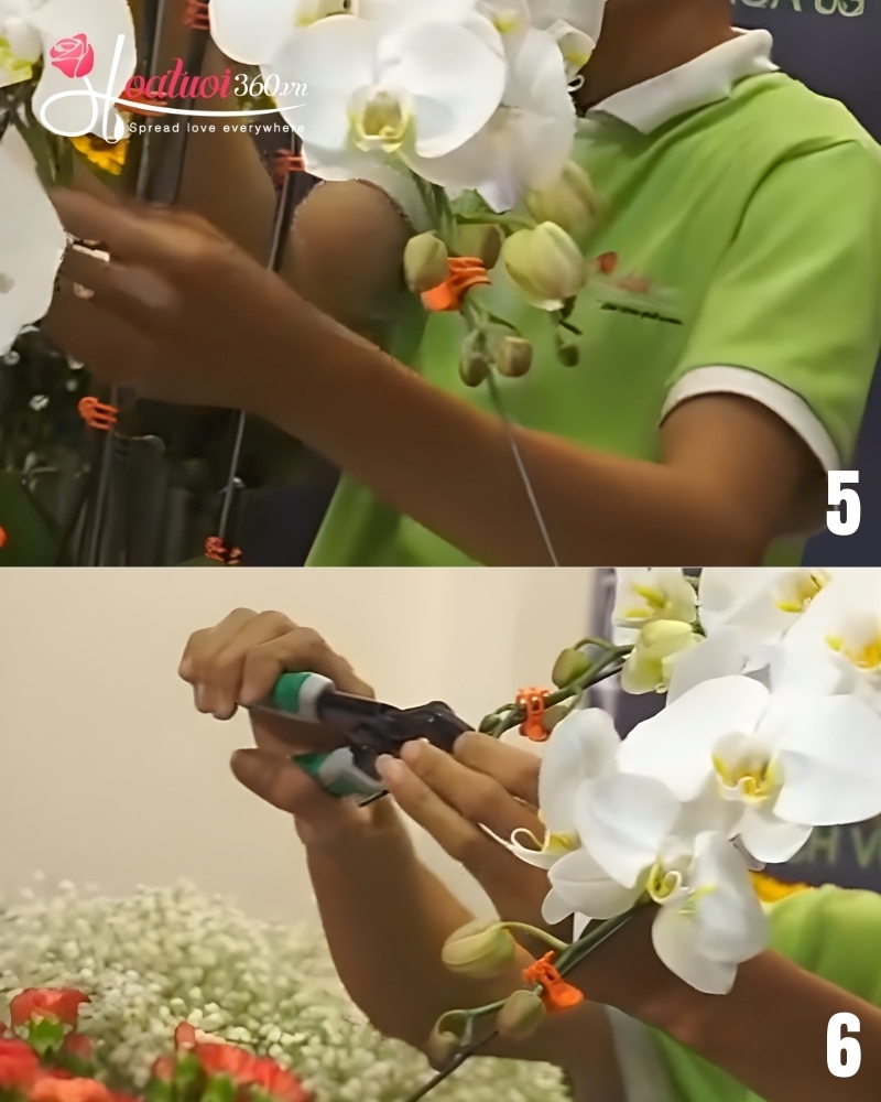 cắt bỏ ty thừa sau khi uốn lan