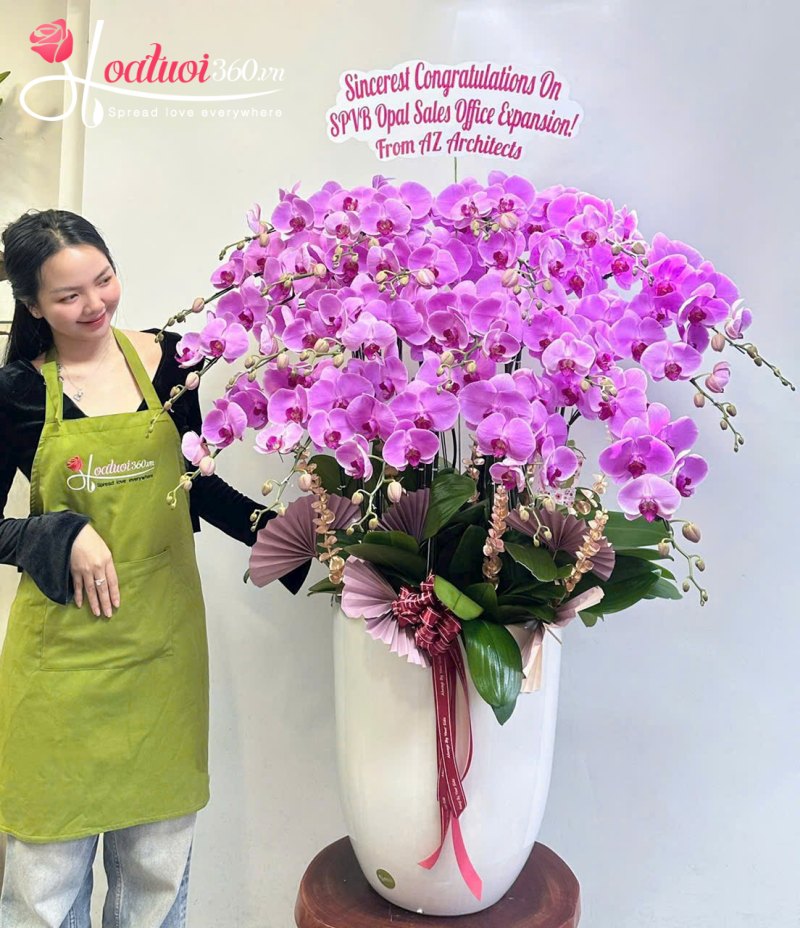 chậu lan hồ điệp tím 3 tầng 