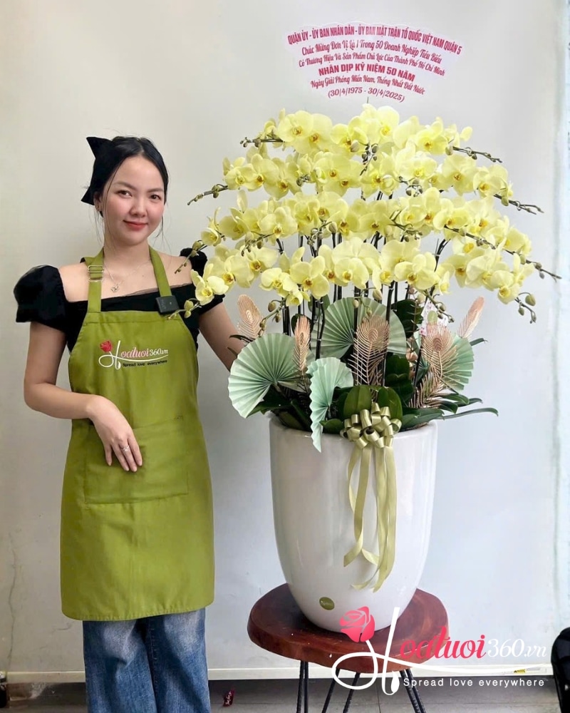 Các loại Lan Hồ Điệp Vũng Tàu