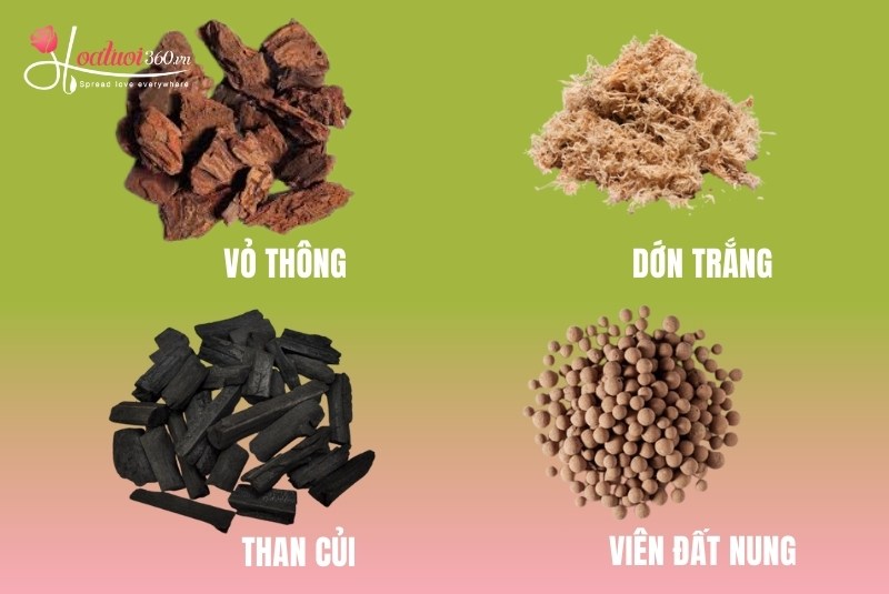 chuẩn bị giá thể trồng lan hồ điệp sau tết