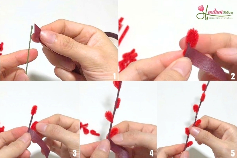 Cố định nụ tầm xuân vào cành và chỉnh dáng