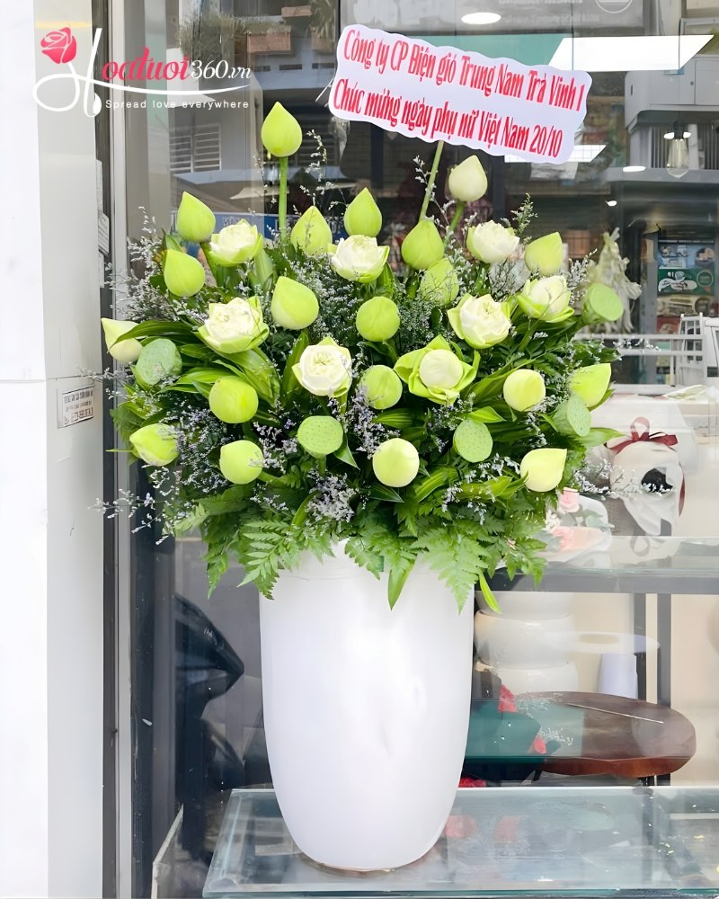 Địa chỉ mua hoa sen giá tốt, uy tín