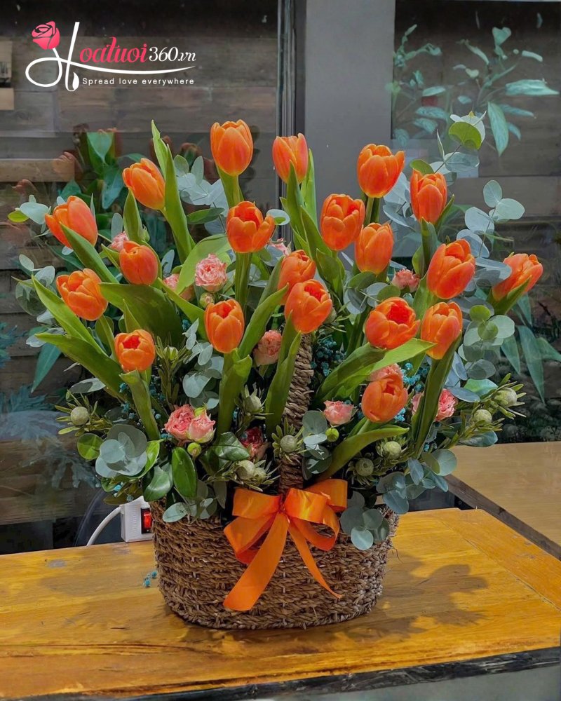 giỏ hoa tulip cam tặng 20/10