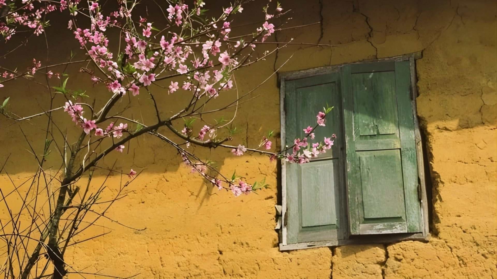 Hình nền hoa đào phong cách vintage cho máy tính