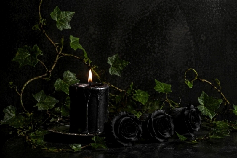 Hình ảnh cành hoa hồng đen cạnh nến