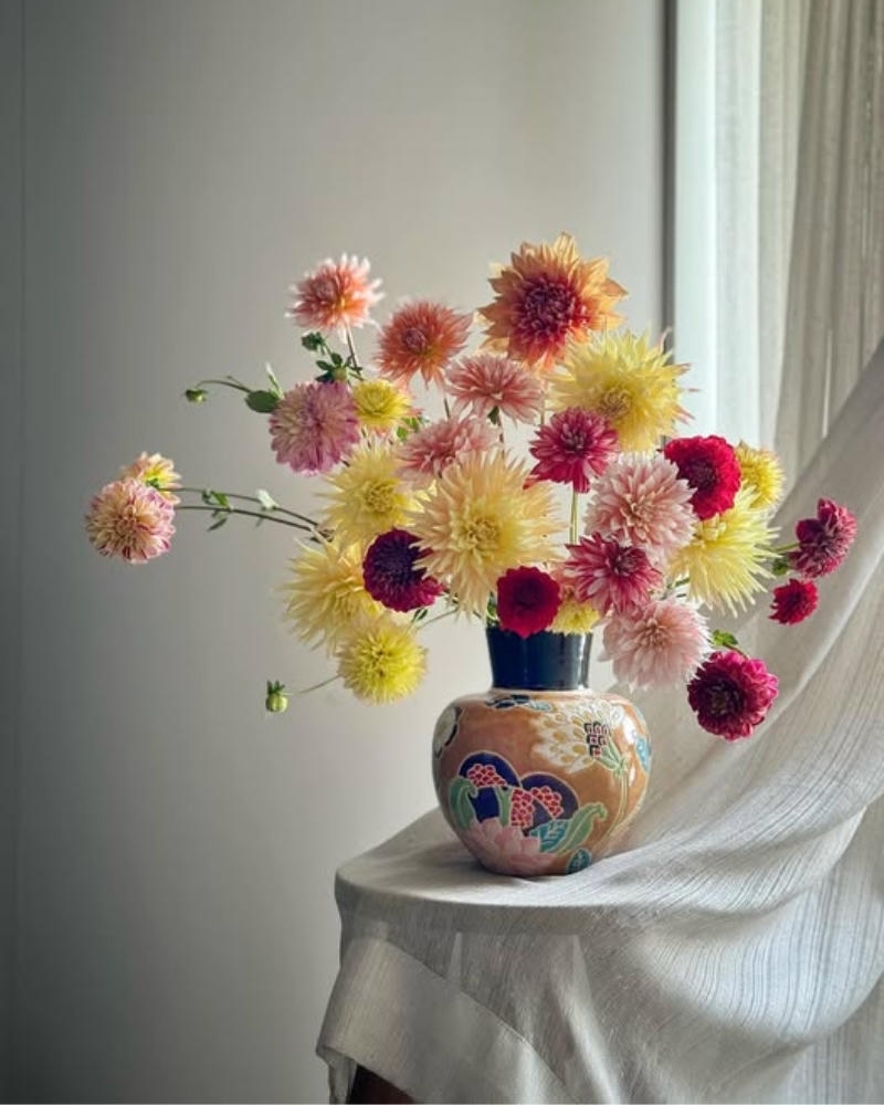 ý nghĩa hoa thược dược