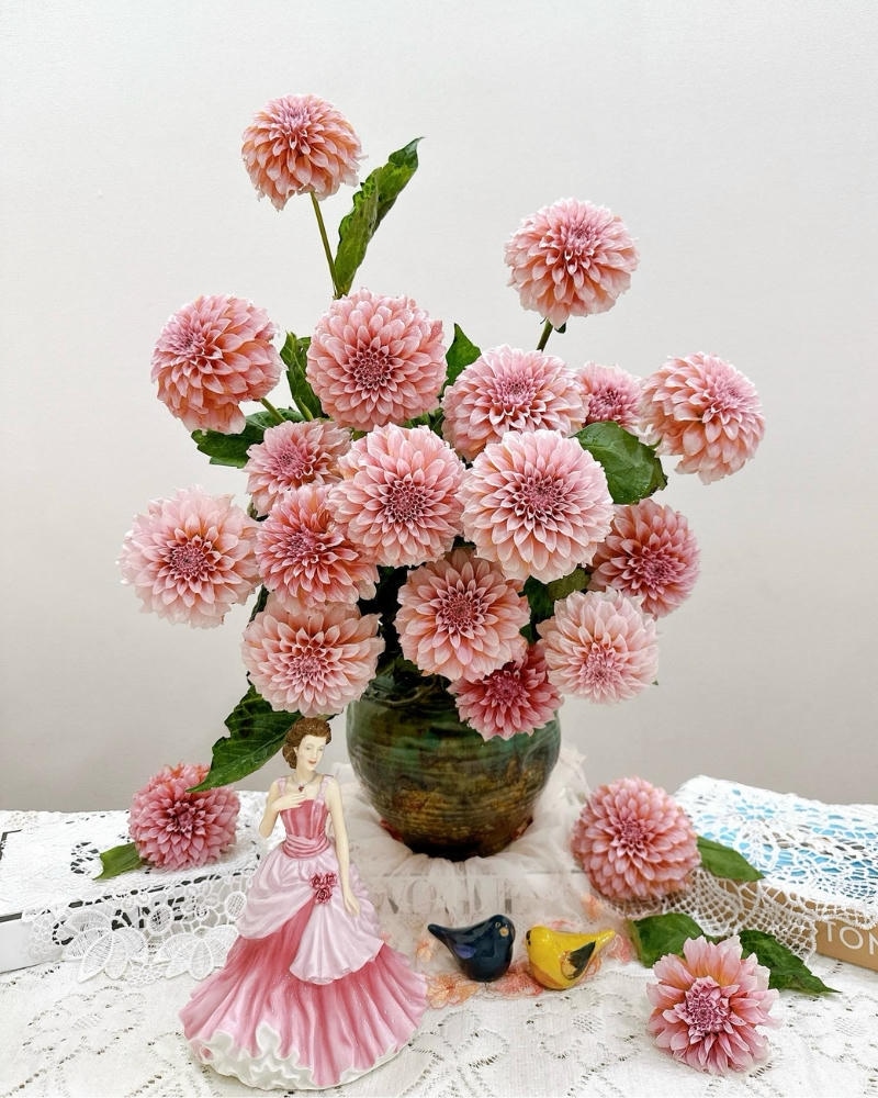 ý nghĩa hoa thược dược
