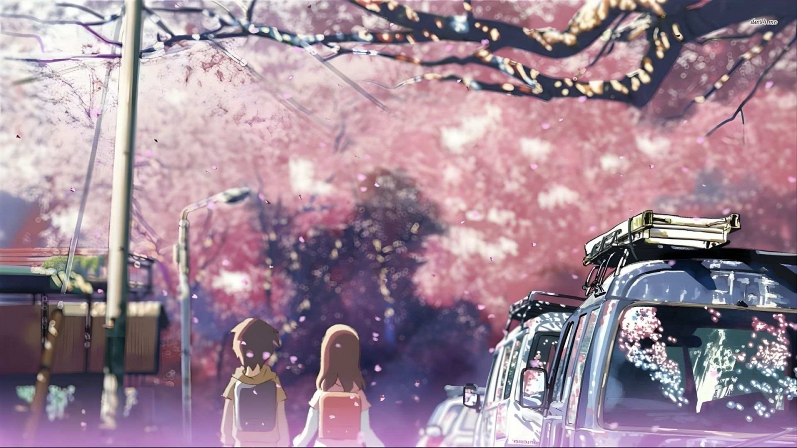 Hình nền hoa đào anime điện ảnh