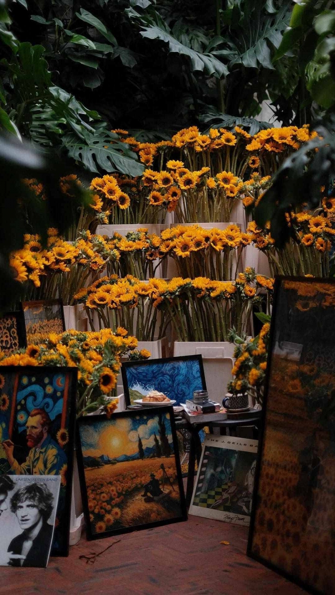 Hình nền hoa hướng dương tâm trạng