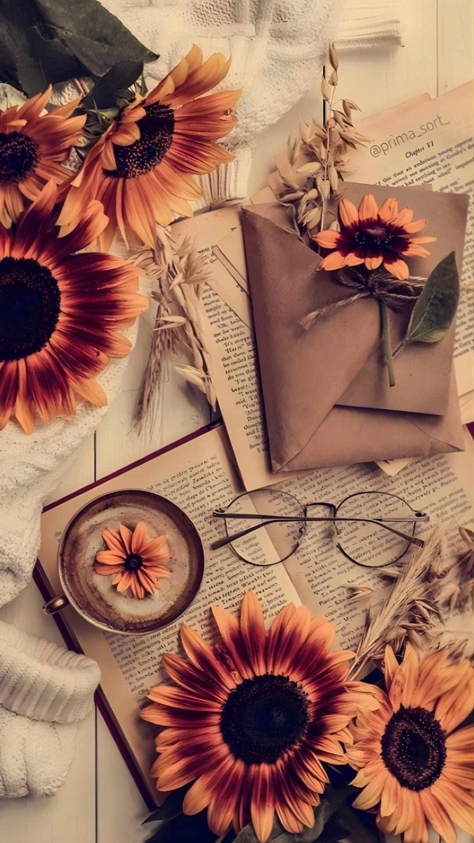 Hình nền hoa hướng dương thơ mộng