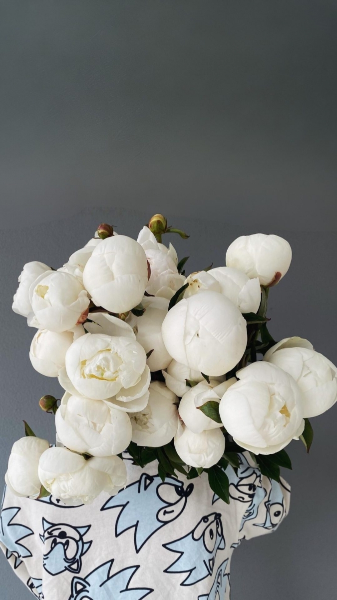 Hình nền hoa mẫu đơn cho điện thoại thoát ế