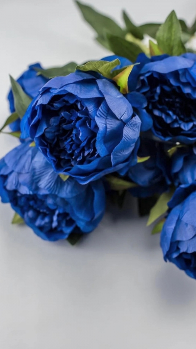 Hình nền hoa mẫu đơn xanh