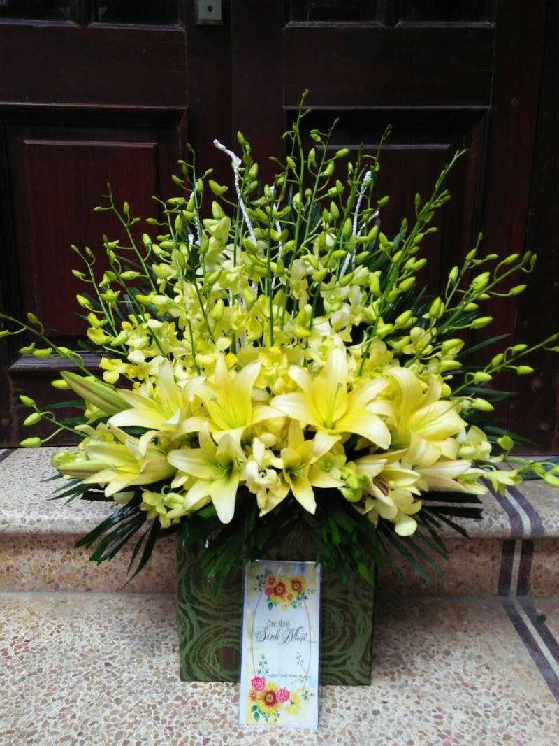 Hoa ly phối cùng hoa lan