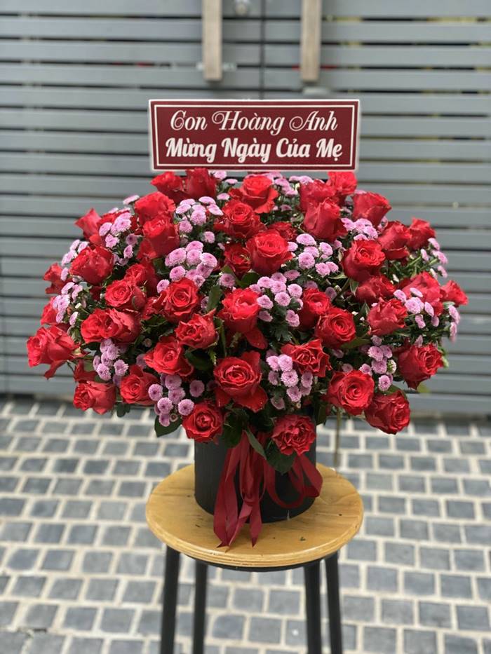 Cúc Calimero mang lại vẻ trẻ trung và tươi mới