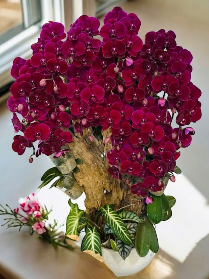 Bí quyết chọn hoa sinh nhật vợ