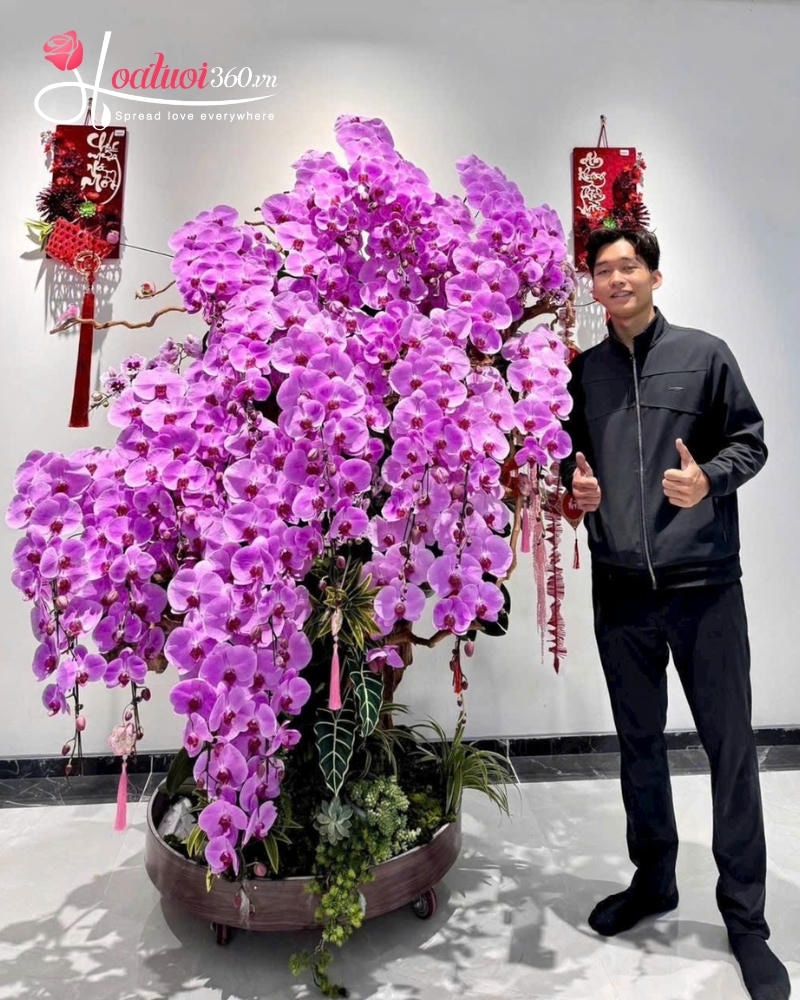 Hoa đẹp chúc mừng ngày thầy thuốc Việt Nam cho tập thể, tổ chức