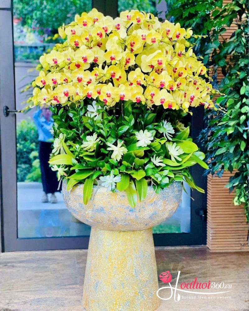 Hoa mừng thọ 100 tuổi