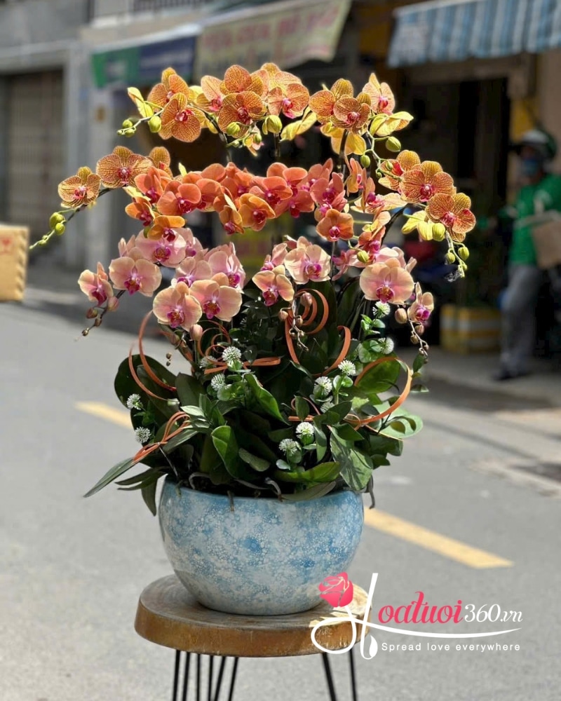 hoa chúc mừng ngày quốc tế đàn ông