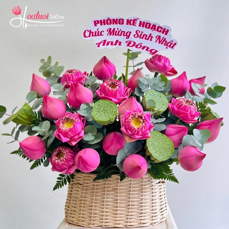 Chọn hoa chúc mừng Quốc tế Đàn ông cần lưu ý gì