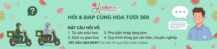 Hỏi đáp cùng Hoa Tươi 360