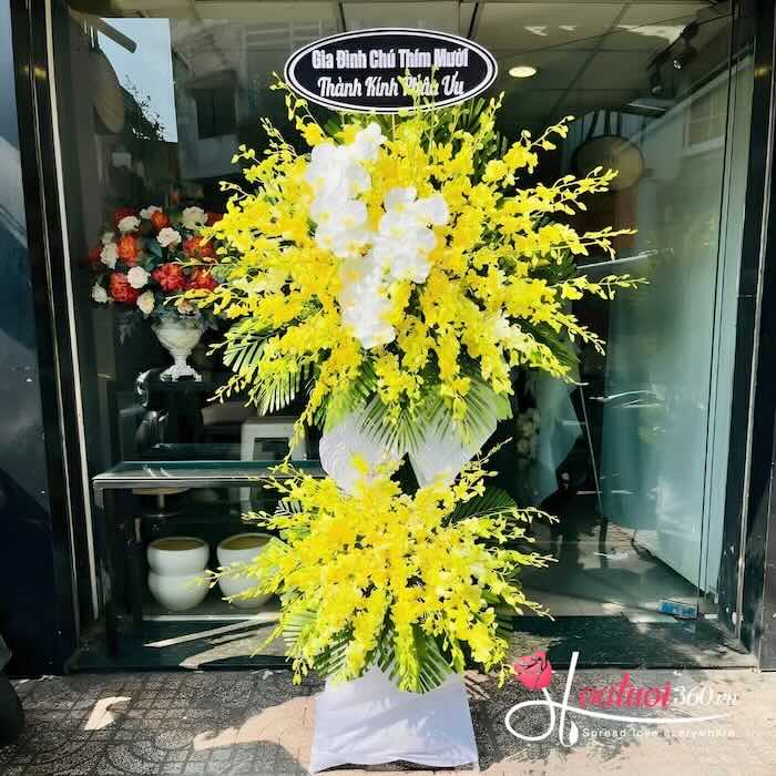 Lan trắng và lan vàng