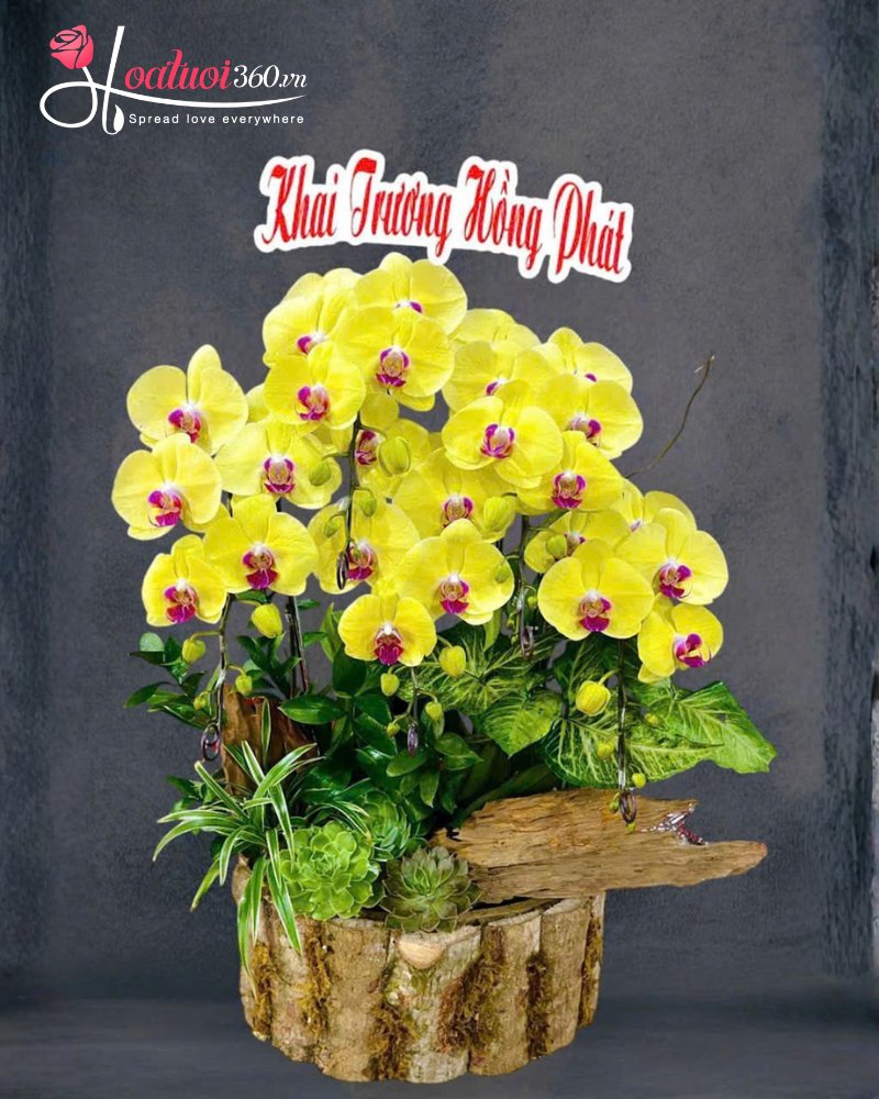 Hoa tươi để bàn khai trương