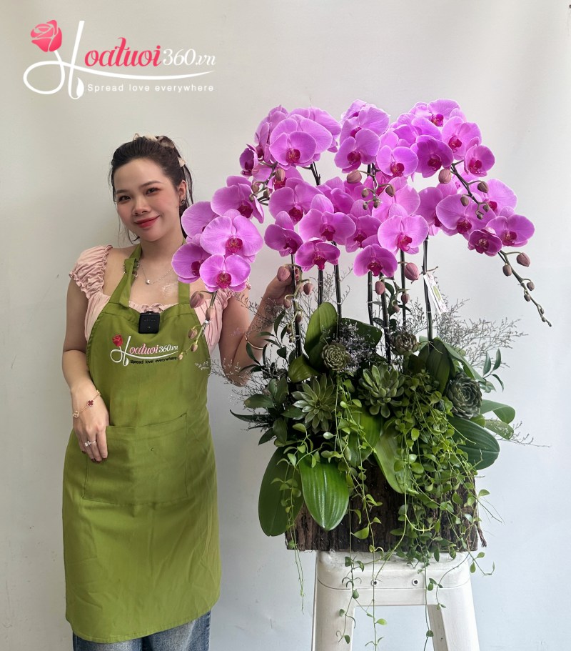 lẵng lan hồ điệp tím 7 cành