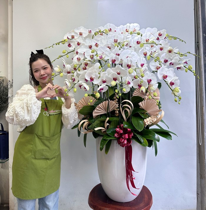 Chậu hoa lan hồ điệp làm quà tặng Ngày thầy thuốc Việt Nam