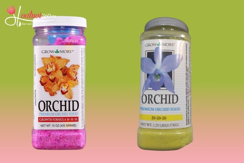 phân bón lan hồ điệp giai đoạn sinh trưởng