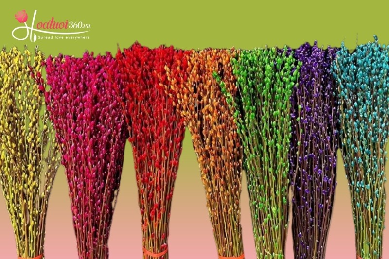 Phân loại nụ tầm xuân theo màu nhuộm