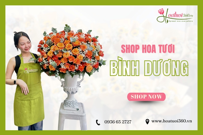 Shop hoa tươi Bình Dương - Hoa Tươi 360