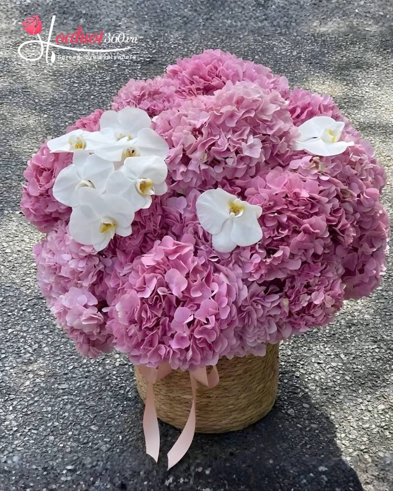 hộp hoa cẩm tú cầu tặng chị em gái ngày 8/3