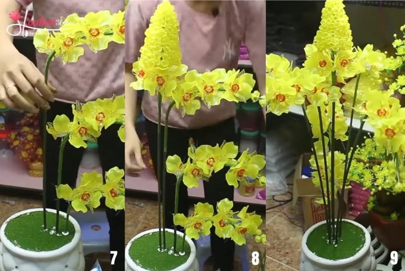 cắm các tầng lan giả vào chậu