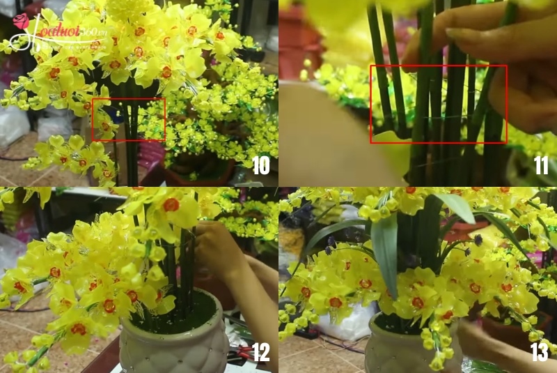 hoàn thành chậu lan hồ điệp giả