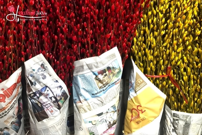 Xử lý nụ tầm xuân ngay khi mua về