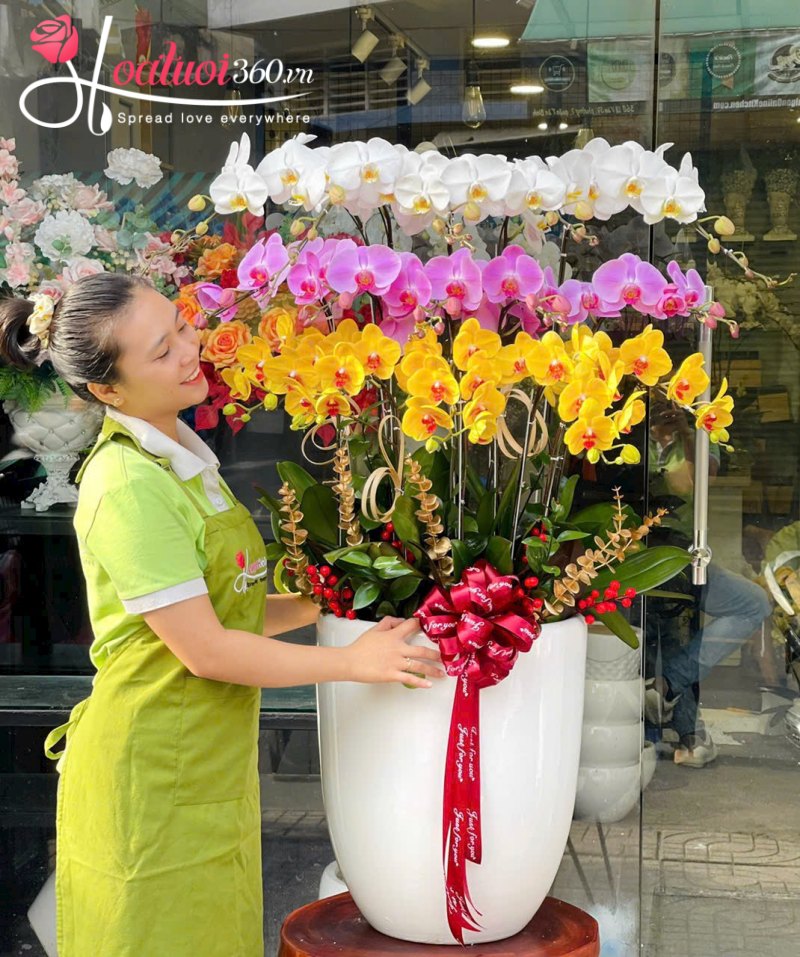 Ý nghĩa chậu lan hồ điệp 3 tầng trong phong thuỷ