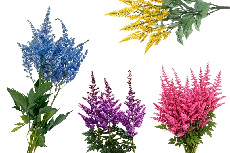 ý nghĩa hoa astilbe