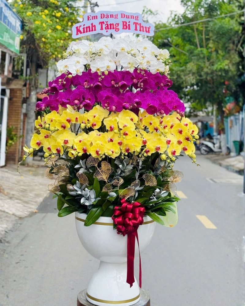 Ý nghĩa lan hồ điệp trong mỗi dịp tặng