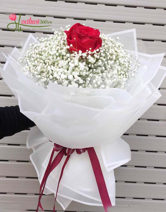 Bó hoa baby trắng được kết bằng hoa hồng đỏ lãng mạn và ngọt ngào