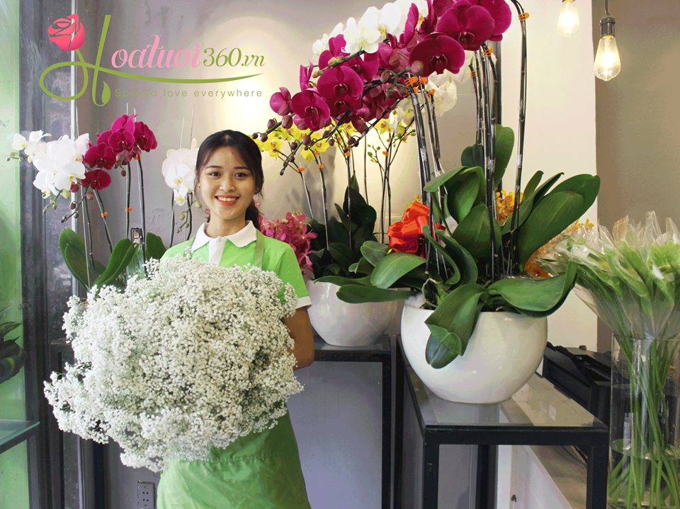 Hoa Tươi 360 chính là địa chỉ bán hoa nụ tầm xuân giá rẻ, chất lượng