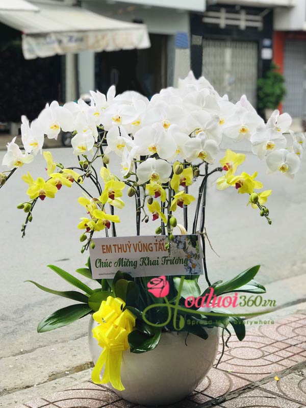 Lẵng hoa chúc mừng khai trương của tiệm hoa Hà Giang